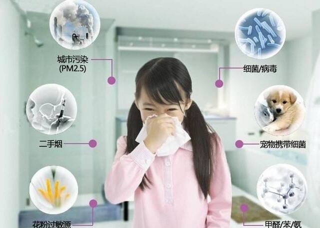 上海環(huán)境檢測(cè)咨詢服務(wù)有限公司 24915.jpg